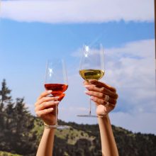 STEM ZERO Vertigo Delicate White Wine 450ml