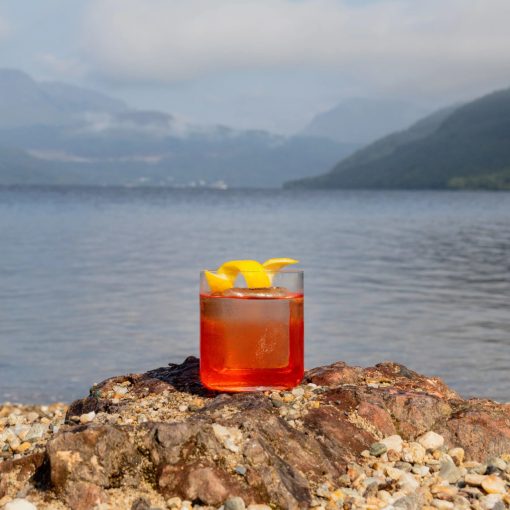 FINESSE WHISKY D.O.F. 390 ml