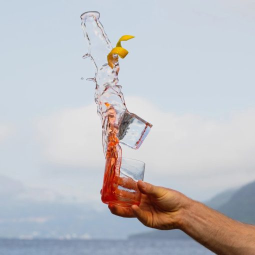 FINESSE WHISKY D.O.F. 390 ml