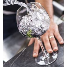 PRIMEUR Gin & Tonic 680 ml