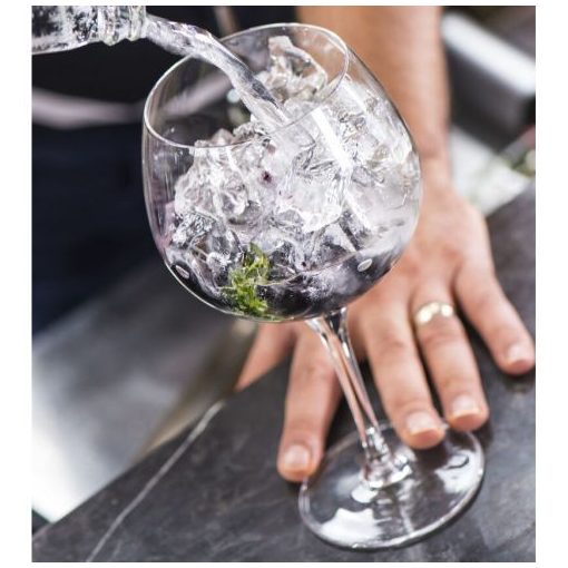 PRIMEUR Gin & Tonic 680 ml