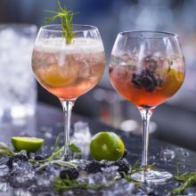 PRIMEUR Gin & Tonic 680 ml