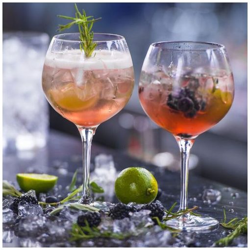 PRIMEUR Gin & Tonic 680 ml