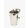 Octopus Wine Cooler Bucket